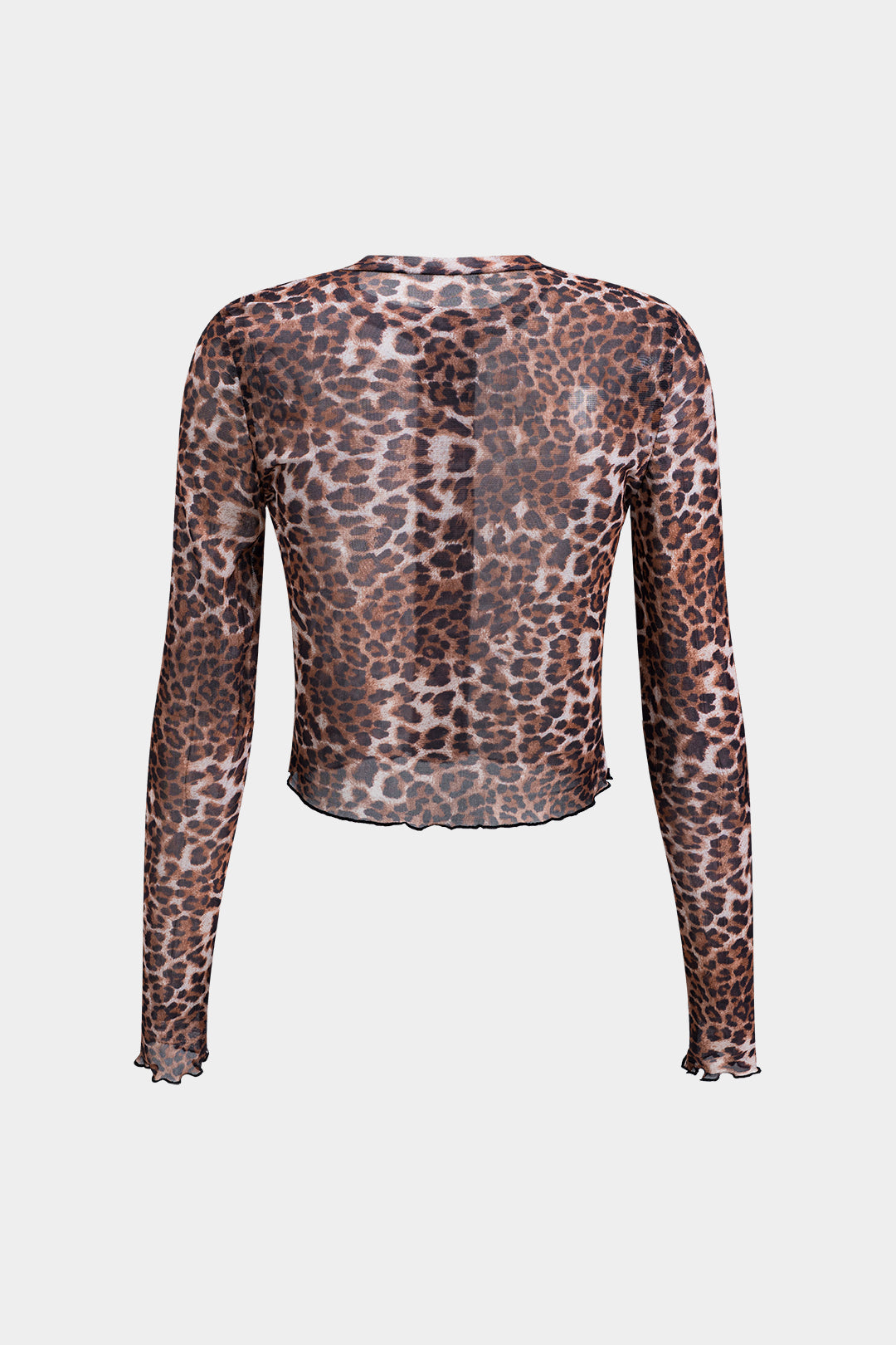 Leopard Print Mesh Button Long Sleeve Top And Shorts Set