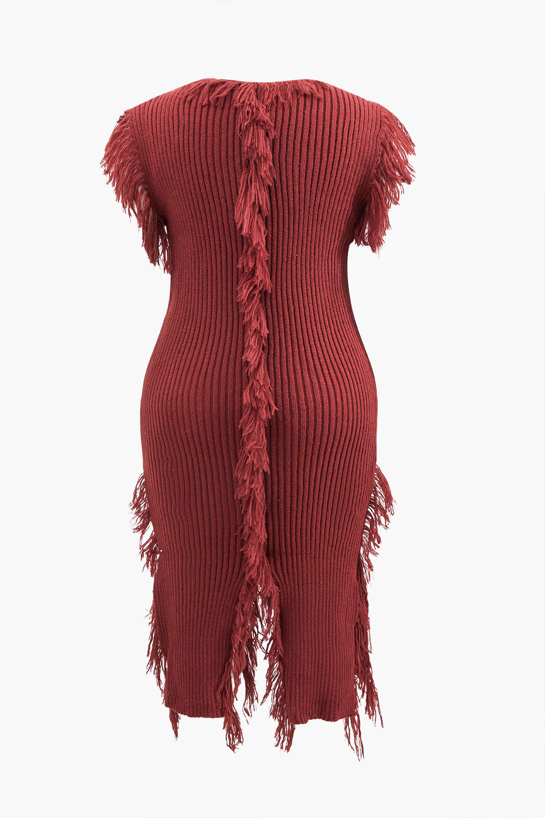 Plus Size Fringe Short Sleeve Knit Dress