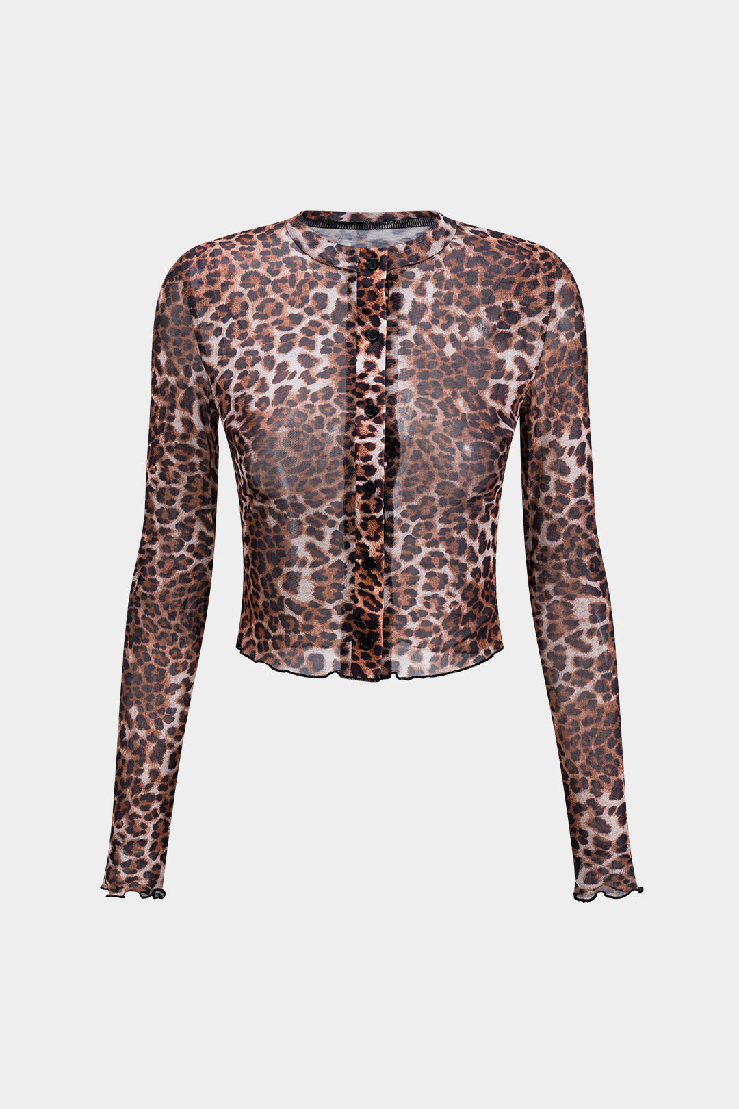 Leopard Print Mesh Button Long Sleeve Top And Shorts Set